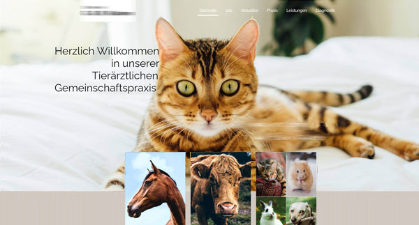 Tierarzt